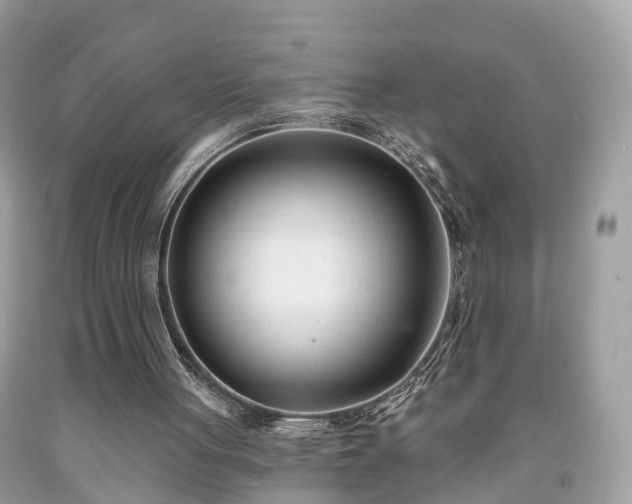 X0000091990051200709131502