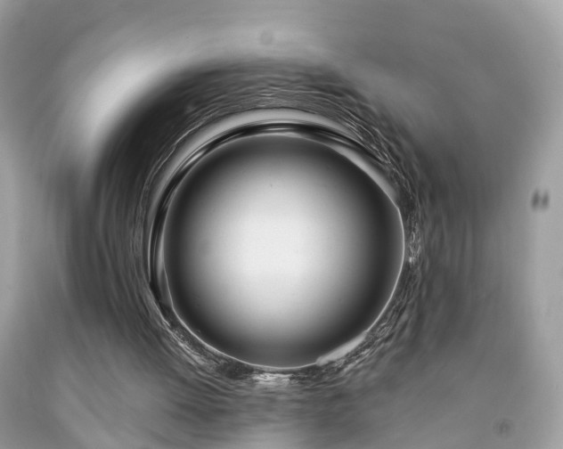 X0000091990052200709131502
