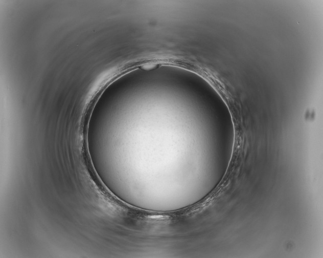 X0000091990053200709131502