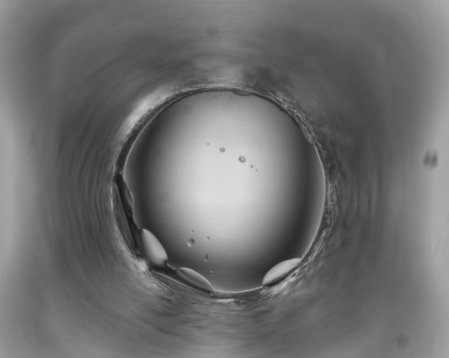 X0000091990054200709131502