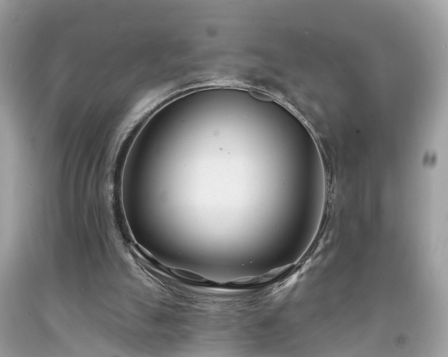 X0000091990055200709131502