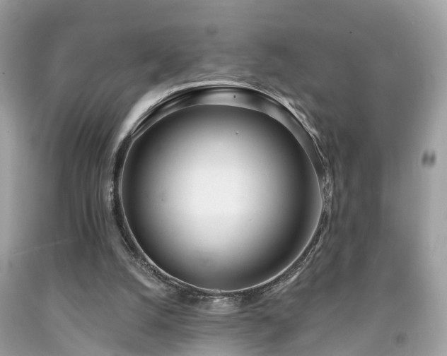 X0000091990056200709131502