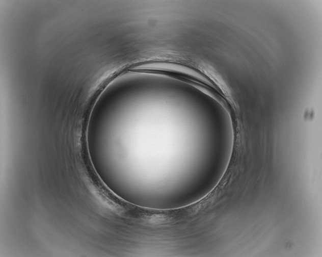 X0000091990058200709131502