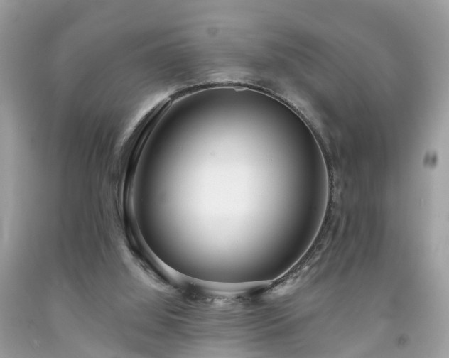 X0000091990060200709131502