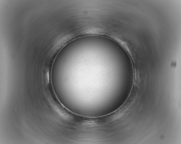 X0000091990061200709131502