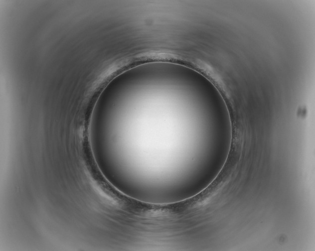 X0000091990063200709131503