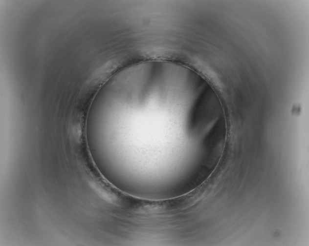 X0000091990065200709131503