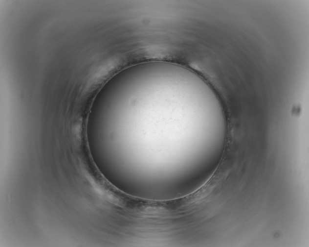 X0000091990066200709131503