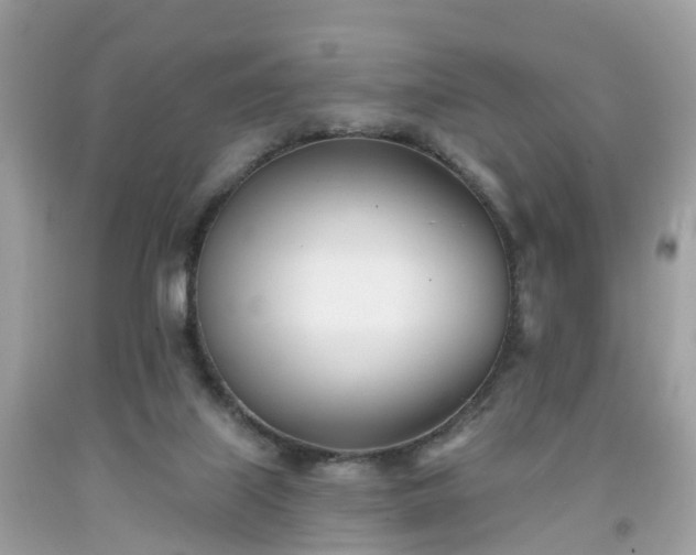 X0000091990067200709131503