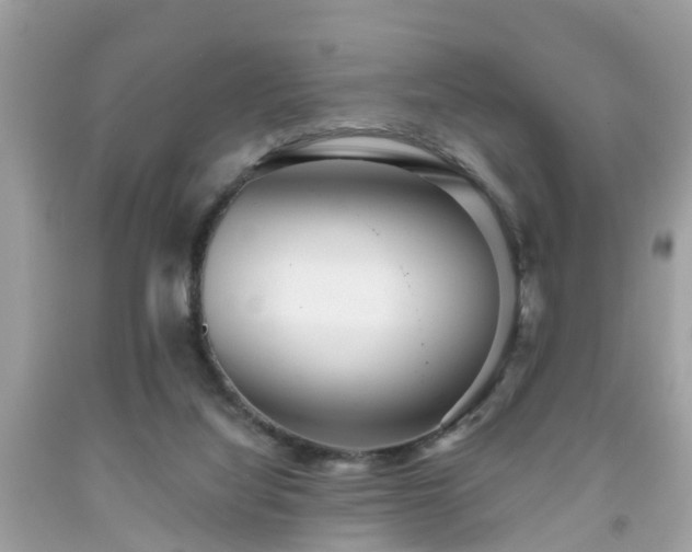 X0000091990068200709131503