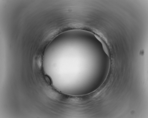 X0000091990069200709131503