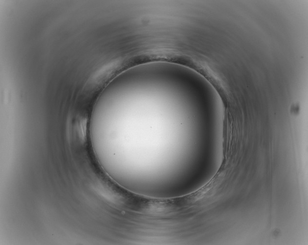 X0000091990070200709131503