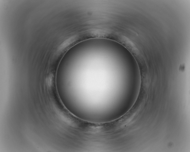 X0000091990071200709131503