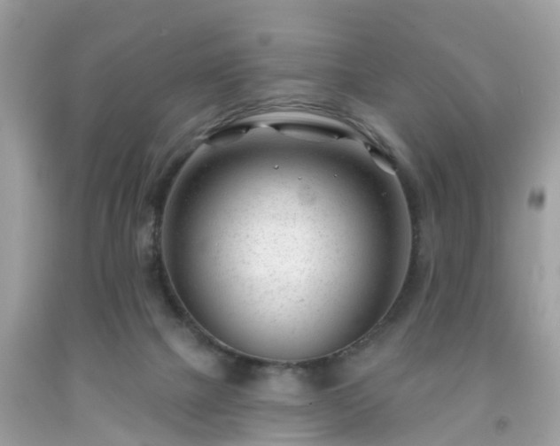 X0000091990073200709131503