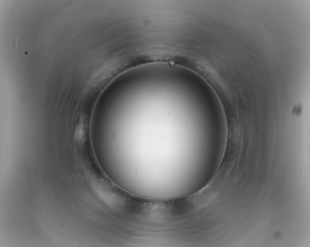 X0000091990074200709131503