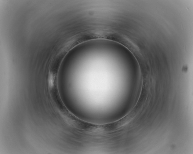 X0000091990075200709131503