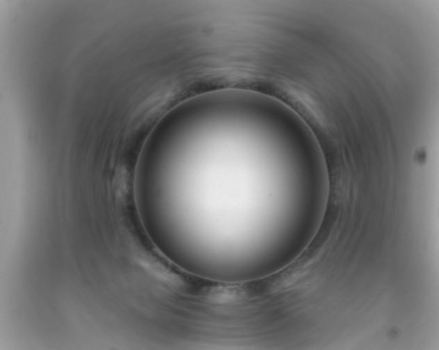 X0000091990077200709131503