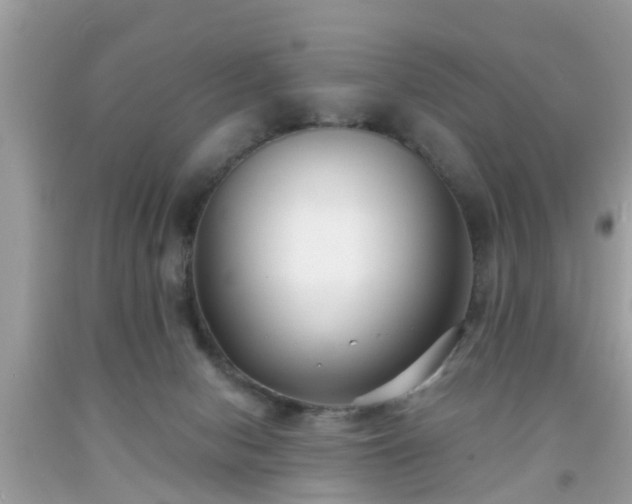 X0000091990078200709131503
