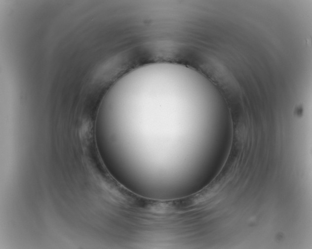 X0000091990079200709131503