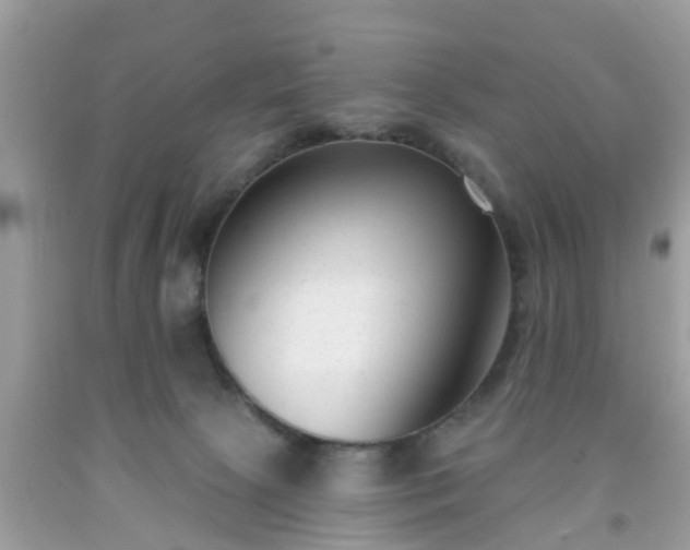 X0000091990081200709131503