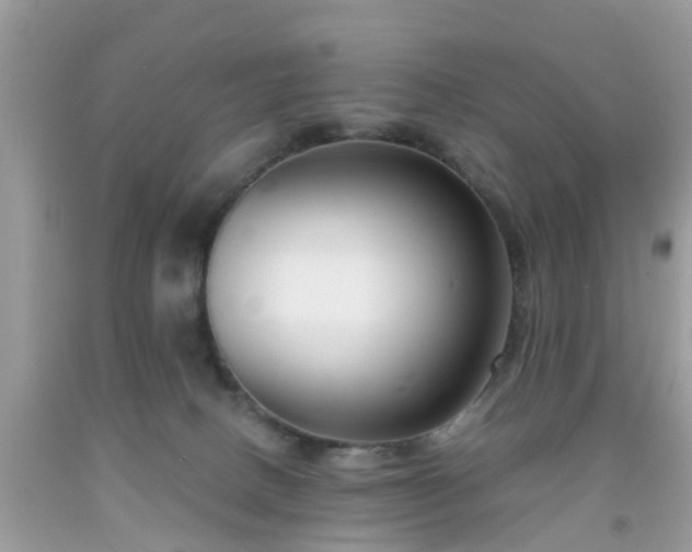 X0000091990082200709131503