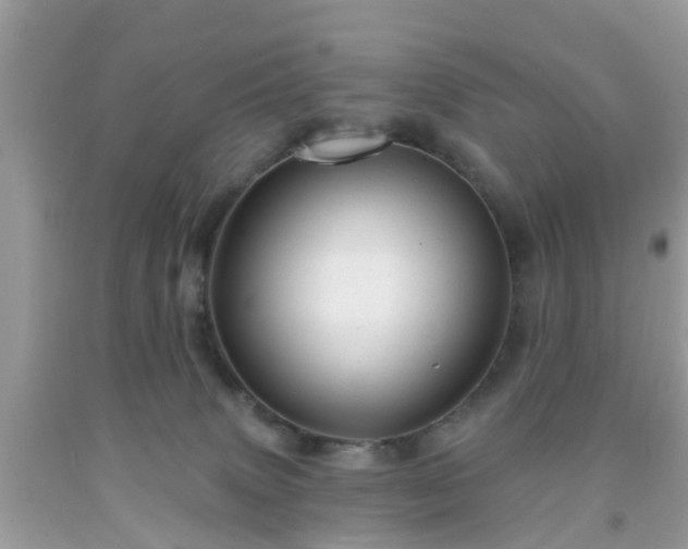 X0000091990083200709131503