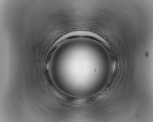 X0000091990084200709131503