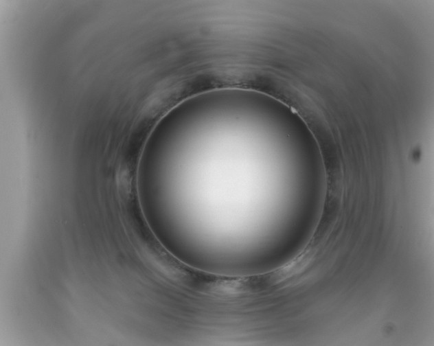 X0000091990086200709131503