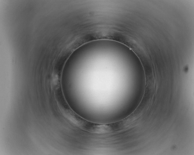 X0000091990087200709131503