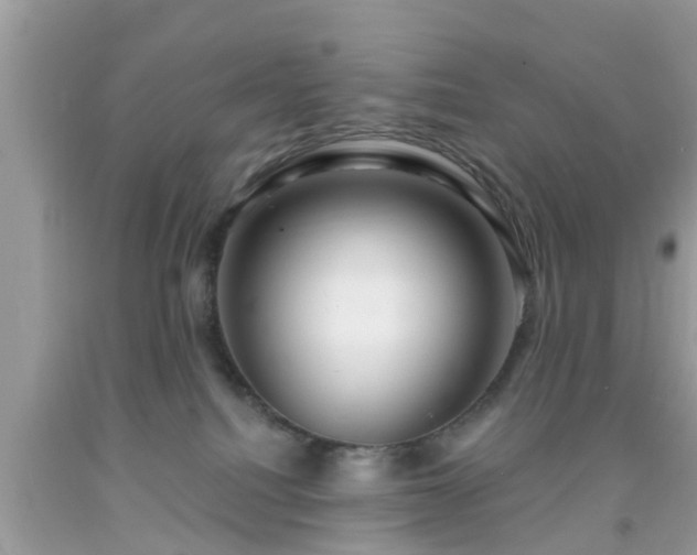 X0000091990088200709131503