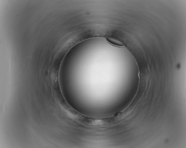 X0000091990091200709131503