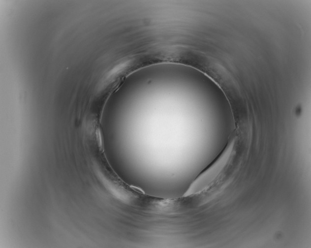 X0000091990092200709131503