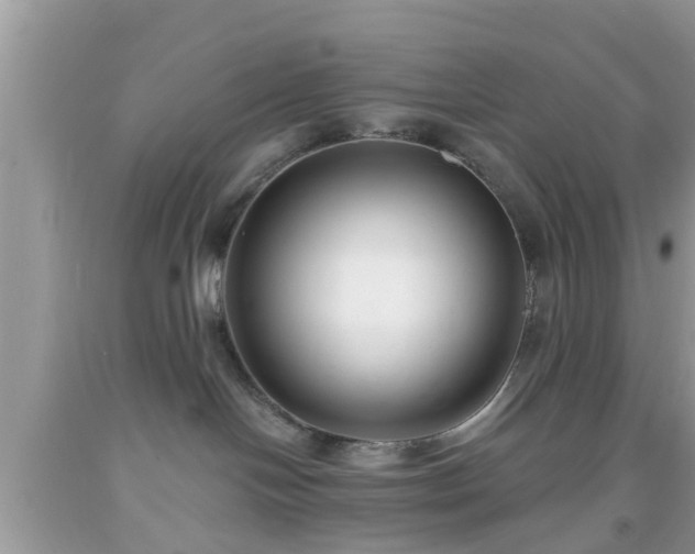 X0000091990094200709131503