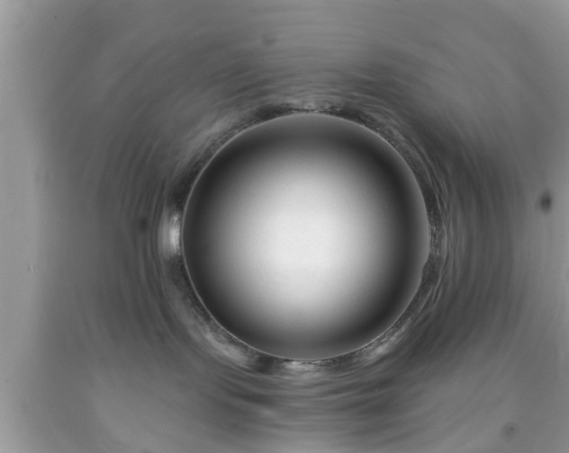 X0000091990095200709131503