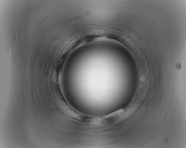 X0000091990096200709131503