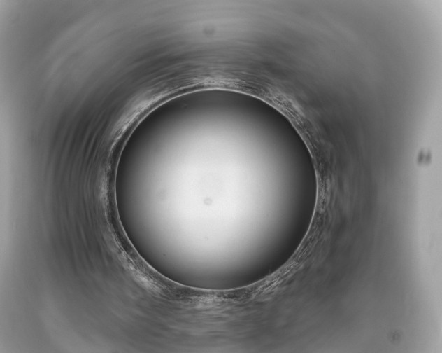 X0000091990098200709131502