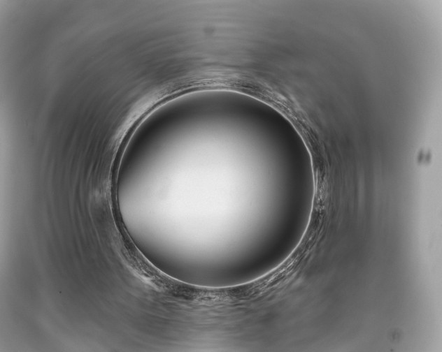 X0000091990099200709131502
