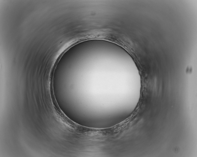 X0000091990100200709131502