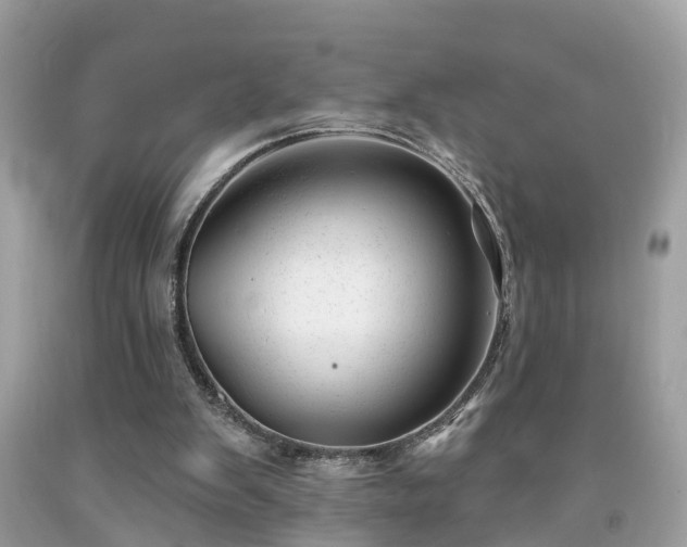 X0000091990103200709131502