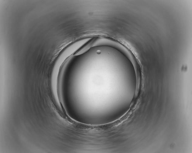 X0000091990105200709131502