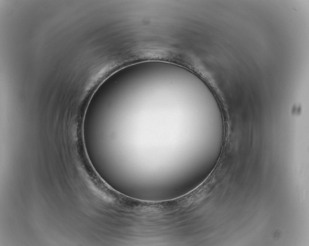 X0000091990106200709131502