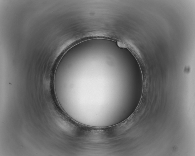 X0000091990108200709131502