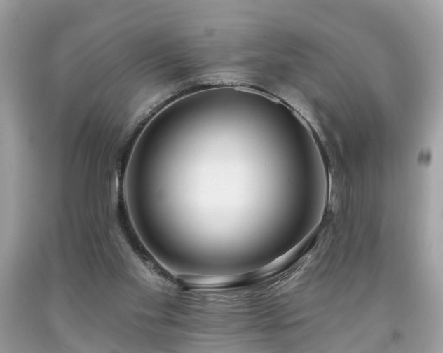 X0000091990109200709131502