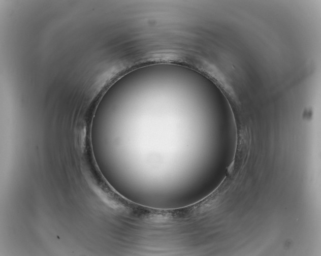 X0000091990110200709131502