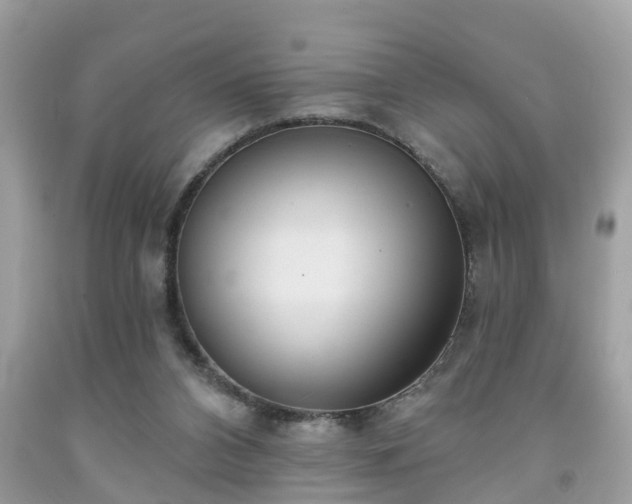 X0000091990112200709131502