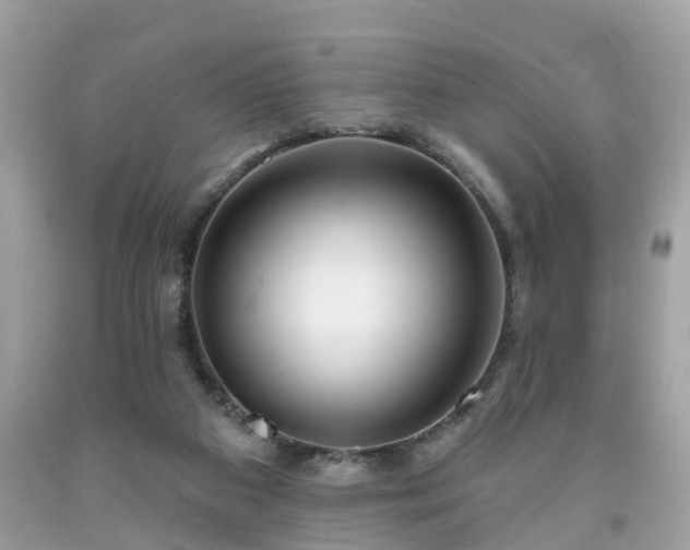 X0000091990113200709131502