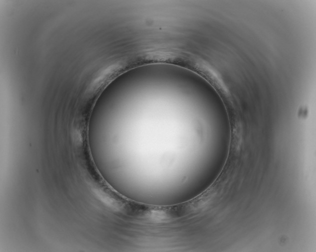 X0000091990114200709131502