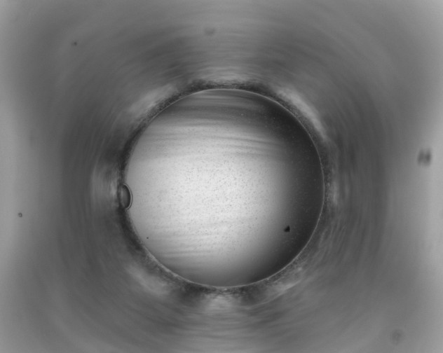 X0000091990115200709131502