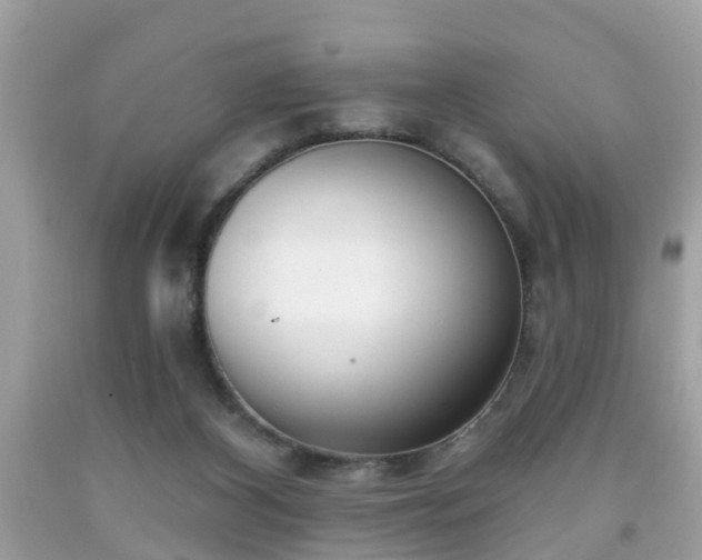 X0000091990116200709131502
