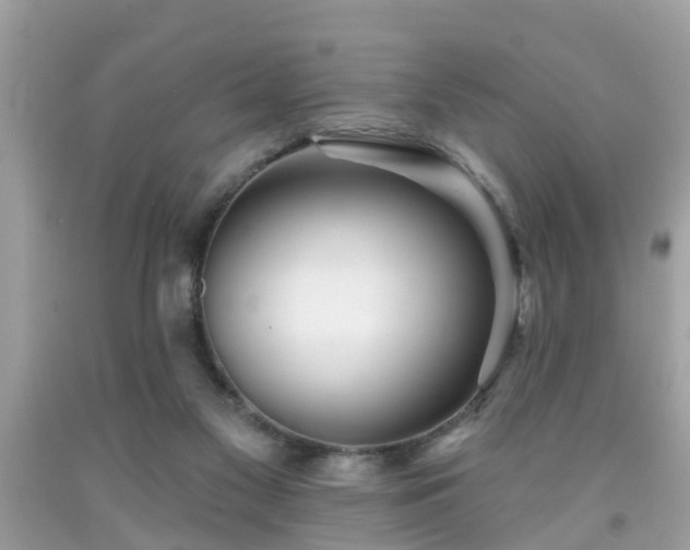 X0000091990117200709131502